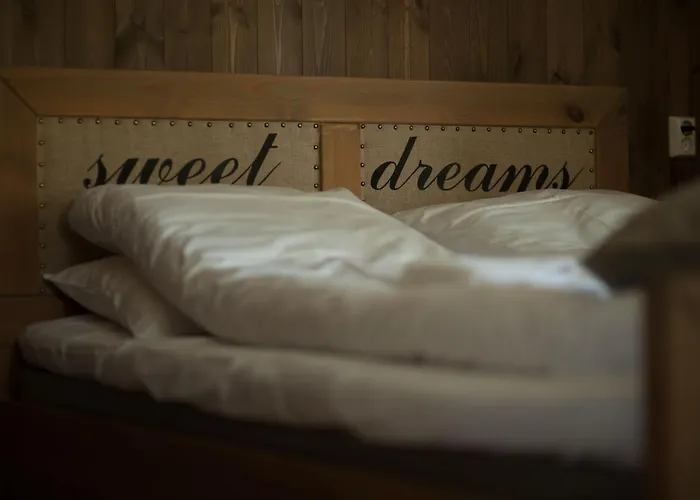 Dale-gudbrands Gard By Frich's 3*